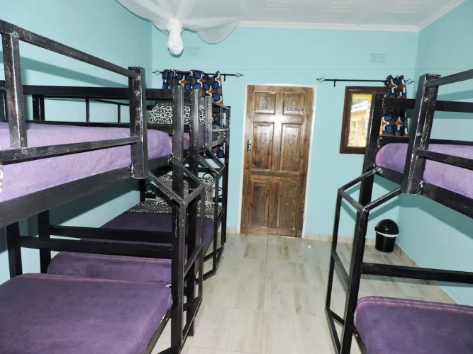 Bed in Dorm