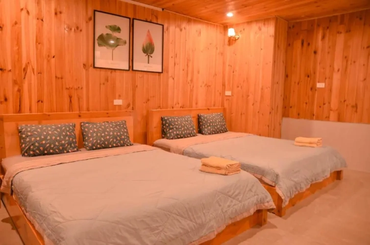 Standard Double room with mountain view