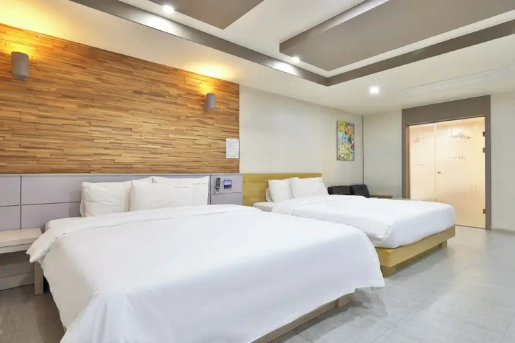 Deluxe Twin room with city view