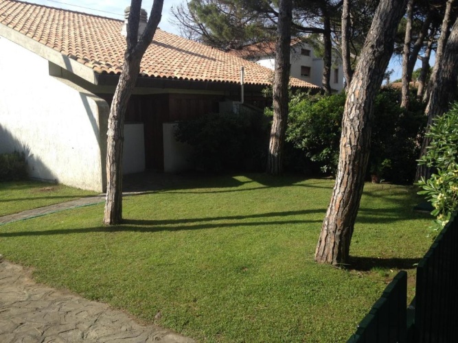 Cottage