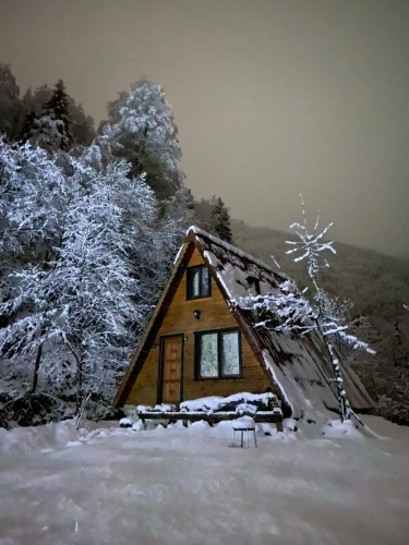 Senoz Mountain House - Bungalow