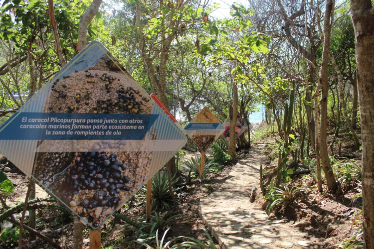 Imagen de La Isla Natura Beach All Inclusive