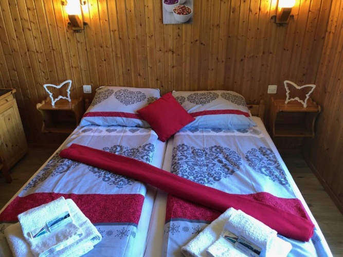 Standard Double room with mountain view
