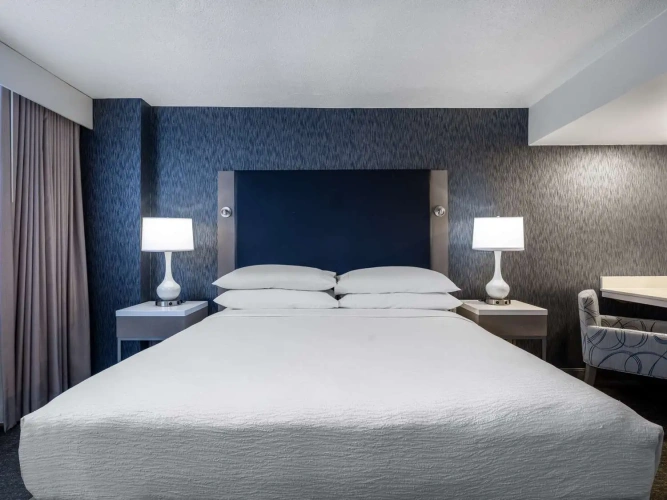 1 Bedroom Accessible Double Suite