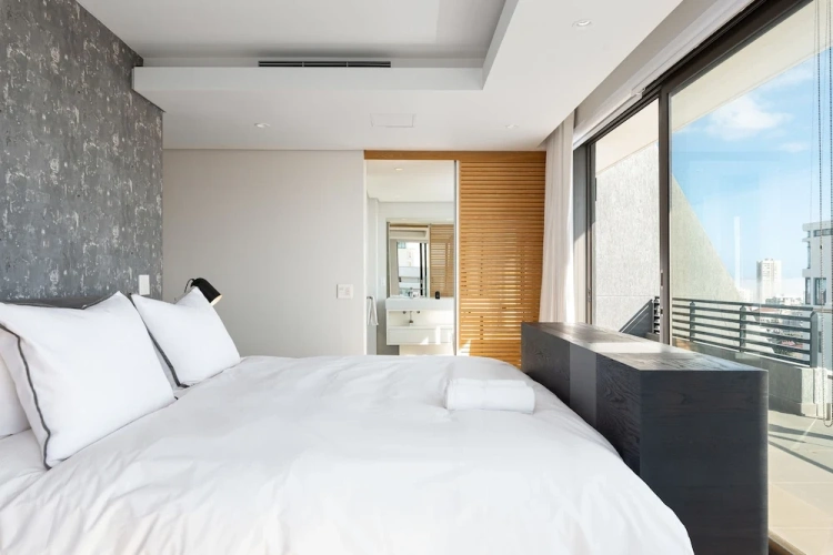 Luxury Apartment