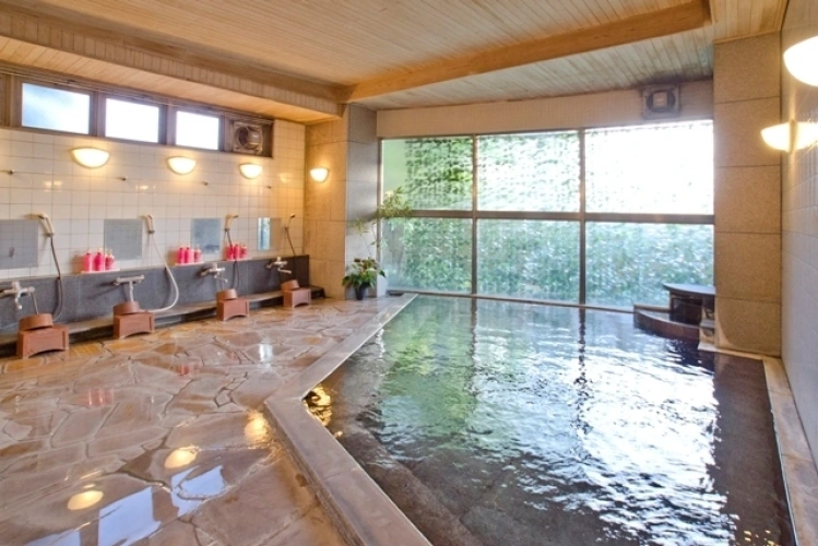 Standard Double room with mountain view