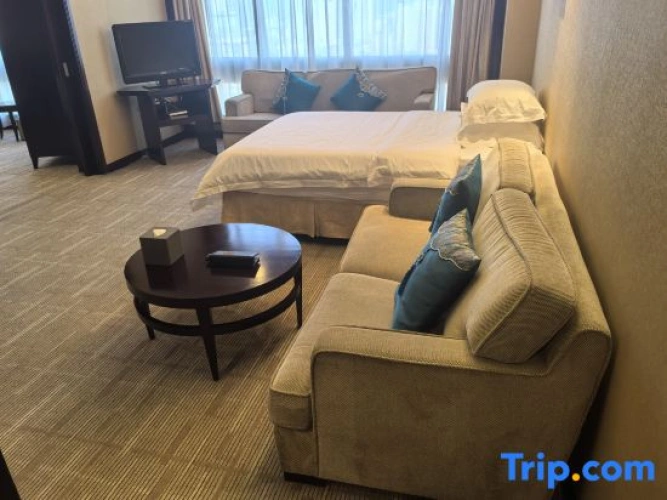 Comfort Suite