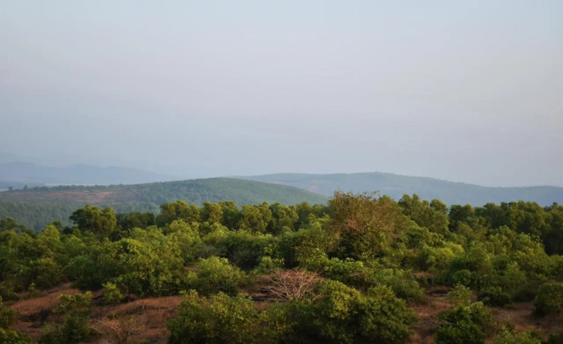 Viraz Valley