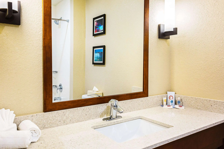 Comfort Inn & Suites Niagara Falls Blvd USA photo 10
