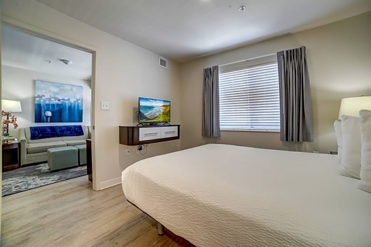 1 Bedroom Suite