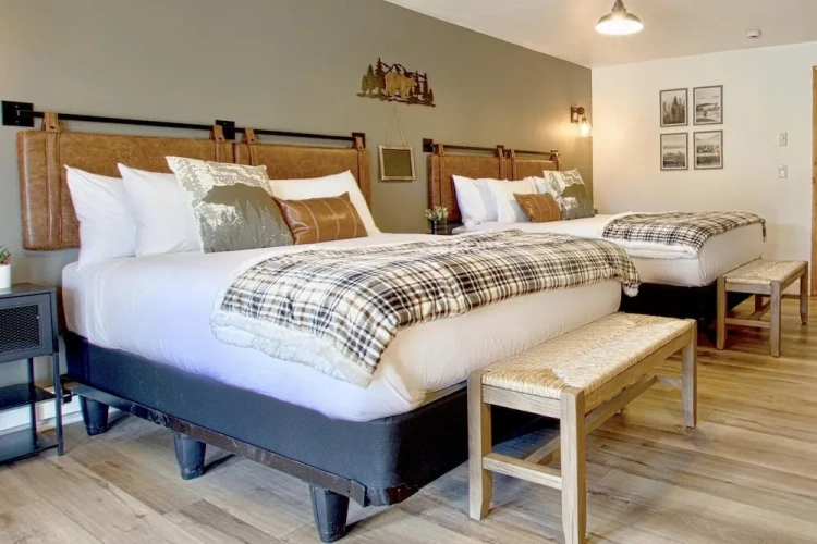 Standard Quadruple room