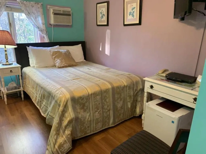 Standard Single room with view