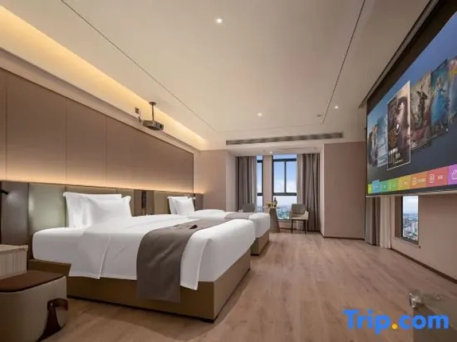 Standard Twin Attic room