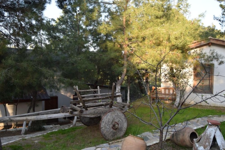Cottage