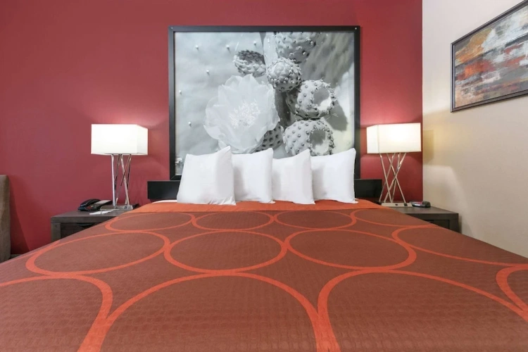 Standard Double room