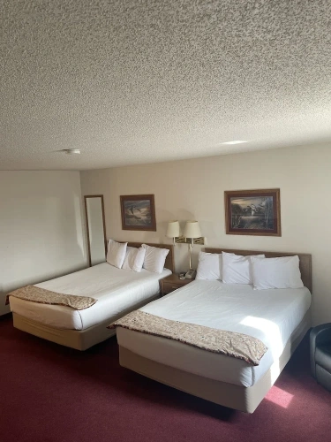 Standard Suite
