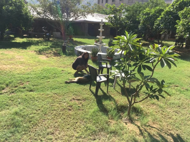 Goroomgo Singh Villa Ajmer