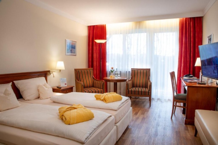 Standard Double room with balcony and with view