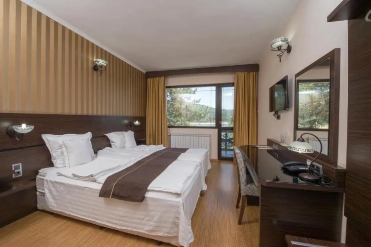 Standard Double room with balcony and with view