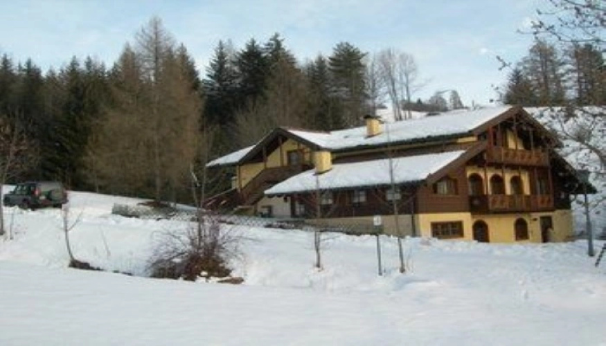 Volpe Rossa