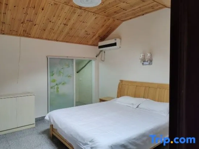 Standard Double Attic room