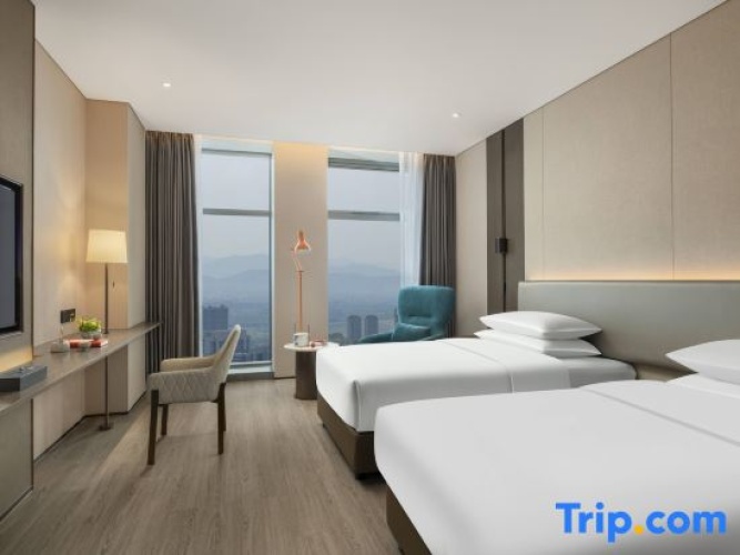 Deluxe Twin room with city view