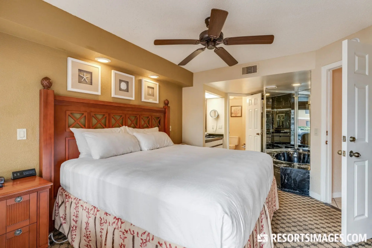 Regatta BAY 488