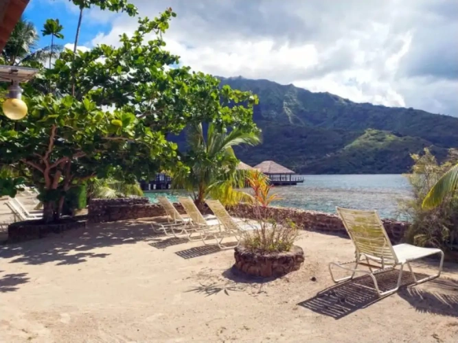 Family Bungalow