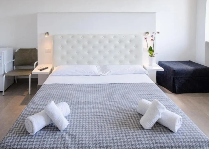 Standard Double room with balcony and with sea view