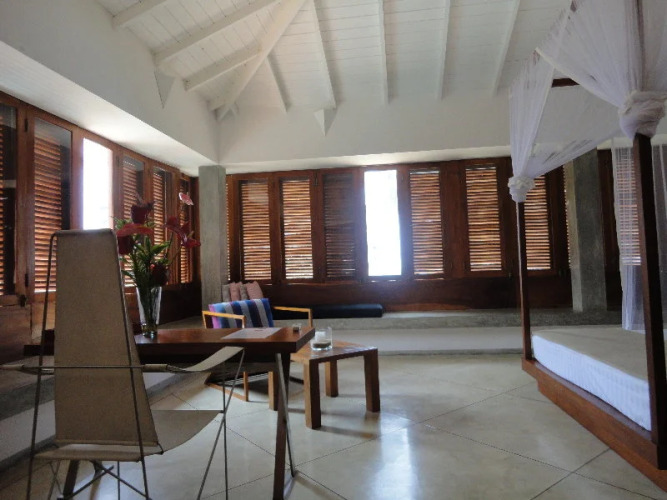 The Frangipani Tree by Edwards CollectionOver view