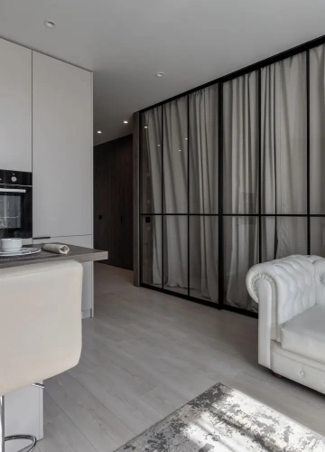 Luxury Apartment