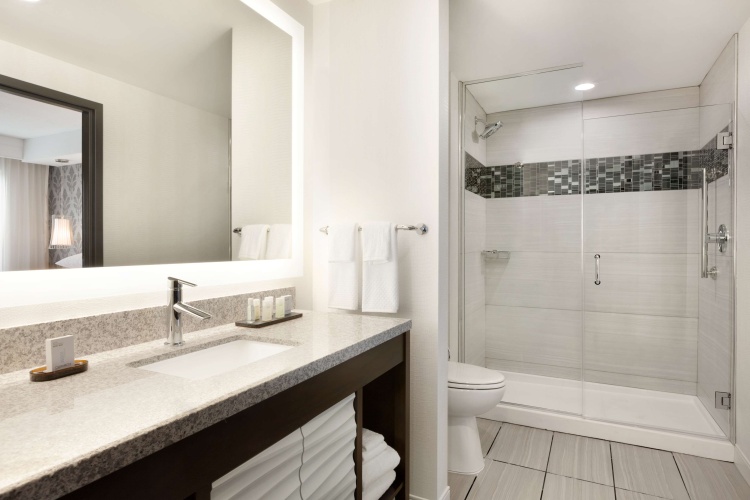 Embassy Suites by Hilton Atlanta NE Gwinnett Sugarloaf photo 11