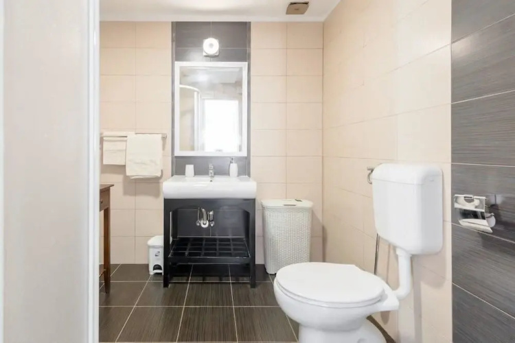 Luxury Apartment Ladovina