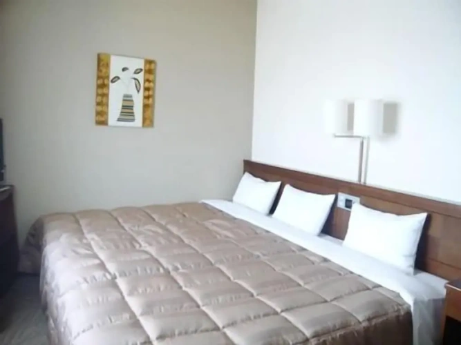 Standard Double Family room