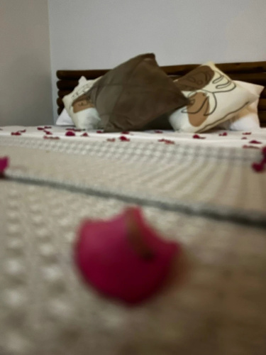TRIBUS Experience Inn