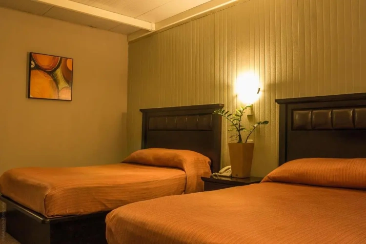 Standard Twin room with garden view