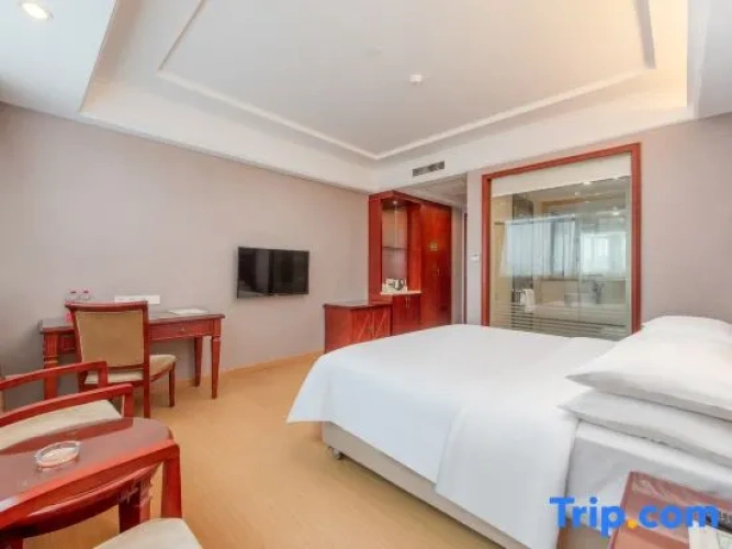 Deluxe Double Family room