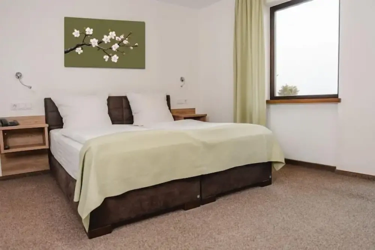 Standard Double room with balcony and with river view