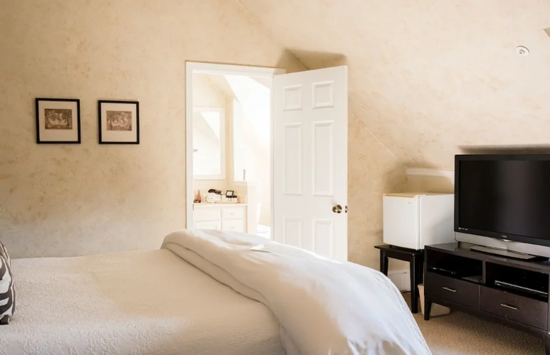 1 Bedroom Junior Suite