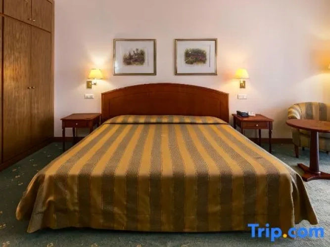Superior Double room with balcony and with view