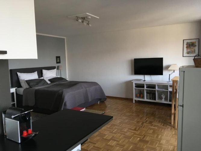 Deluxe Apartment