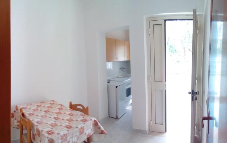Basement Apartment