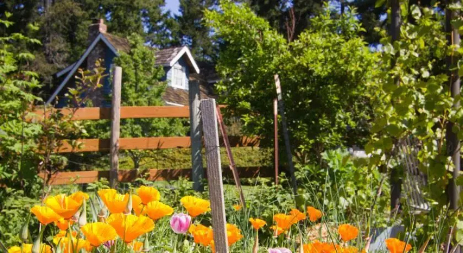 Day Dream Farm Cottage