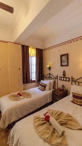 Economy Twin room with balcony and with garden view