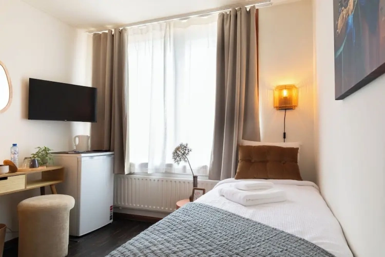 Standard Single room with garden view
