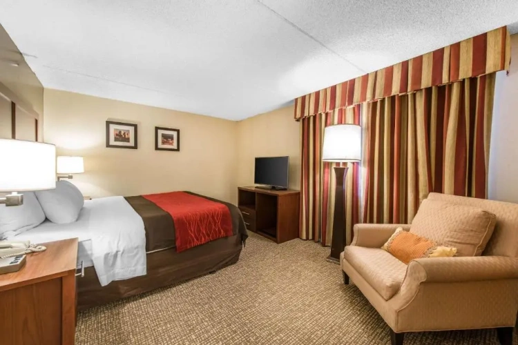 1 Bedroom Double Suite