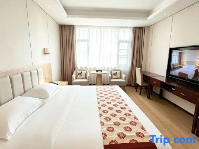 Business Double room
