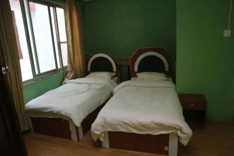 Deluxe Twin room with city view