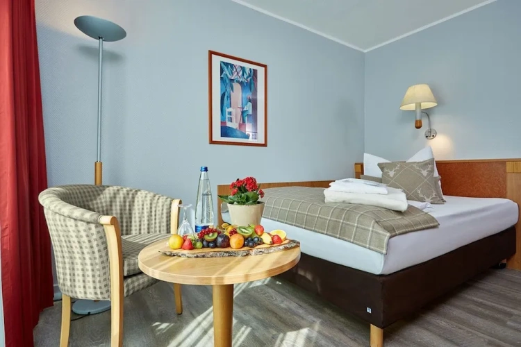Standard Double room with mountain view