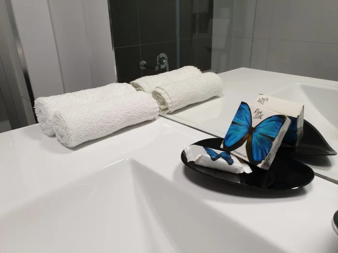 1 Bedroom Deluxe Apartment
